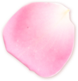 花びら