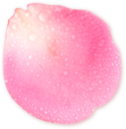 花びら