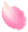 花びら